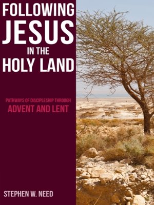 cover image of Following Jesus in the Holy Land